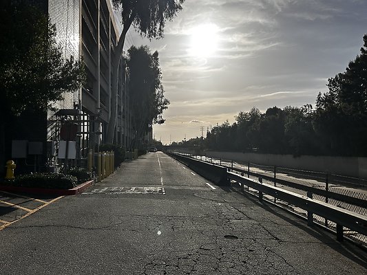 IMG 7592