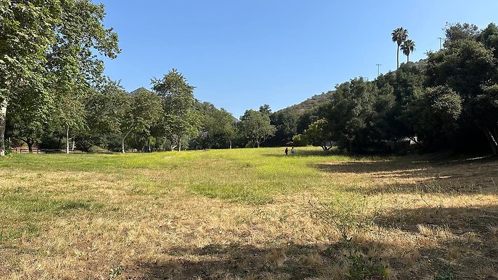 th IMG 9178