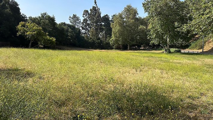 th IMG 9167