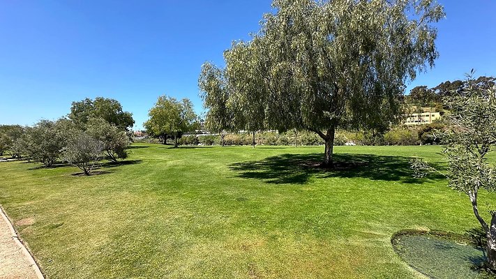th IMG 7918