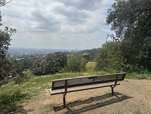 IMG 9477