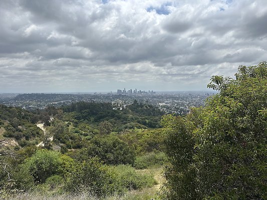 IMG 9212