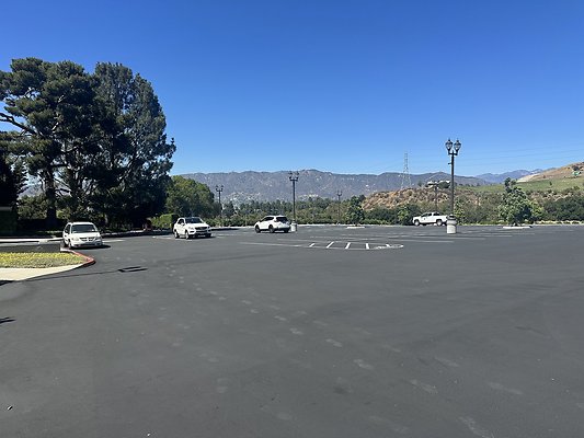 IMG 0259