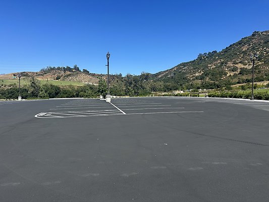 IMG 0260