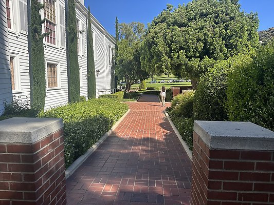 IMG 0355