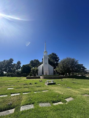 IMG 0373
