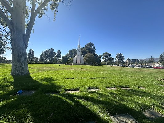 IMG 0372