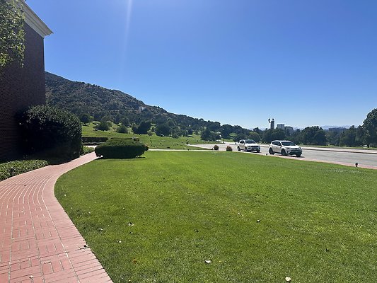 IMG 0278