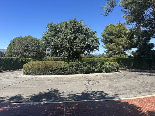 IMG 0280
