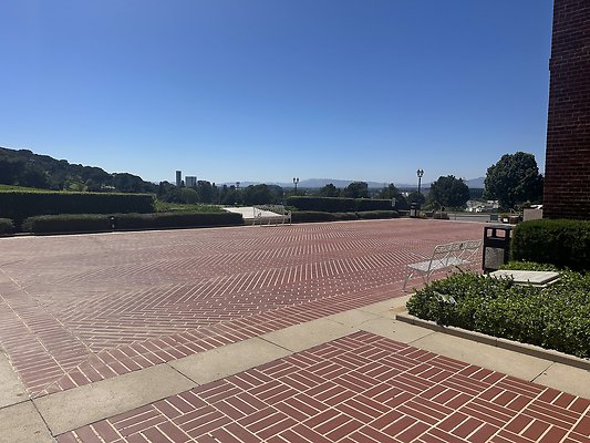 IMG 0267