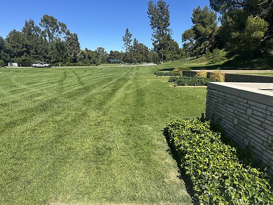 IMG 0343
