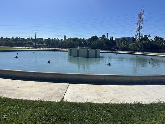 IMG 0333