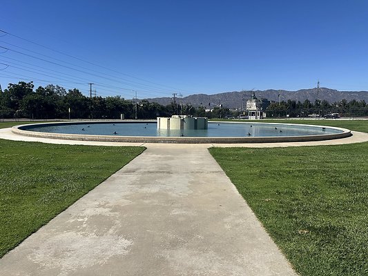 IMG 0339