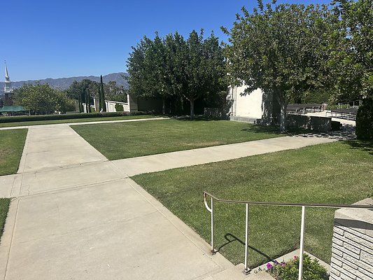 IMG 0223