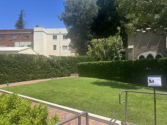 IMG 0707