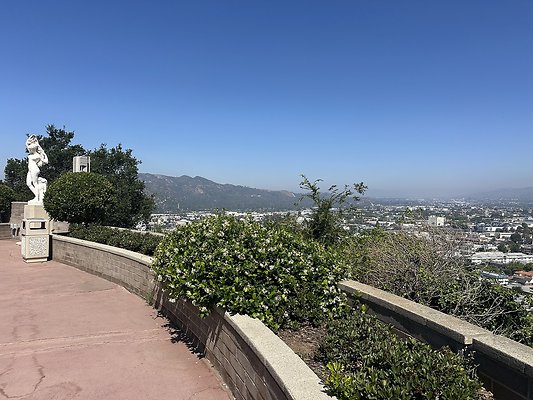 IMG 0514