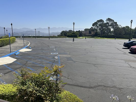 IMG 0535