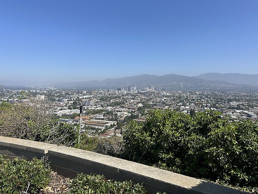 IMG 0513