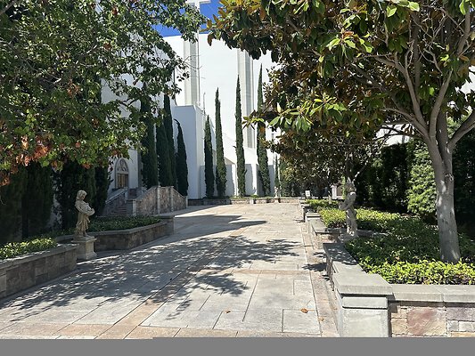 IMG 0471
