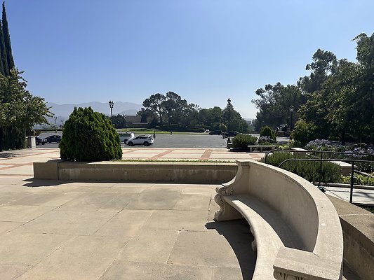IMG 0479