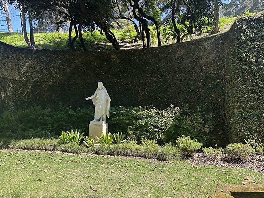 IMG 0595