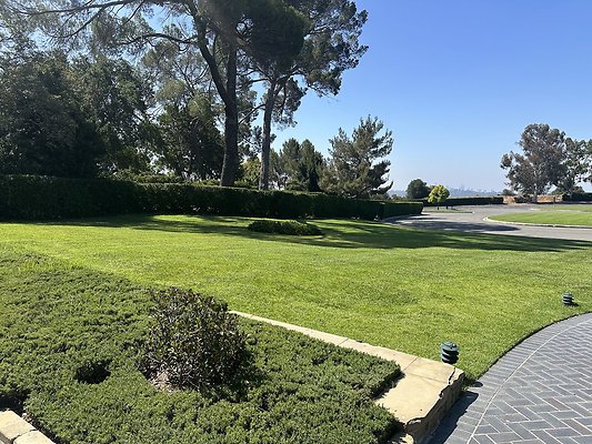 IMG 0541