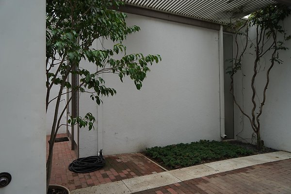DSC05445