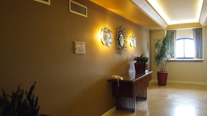 P1010184 P1010184