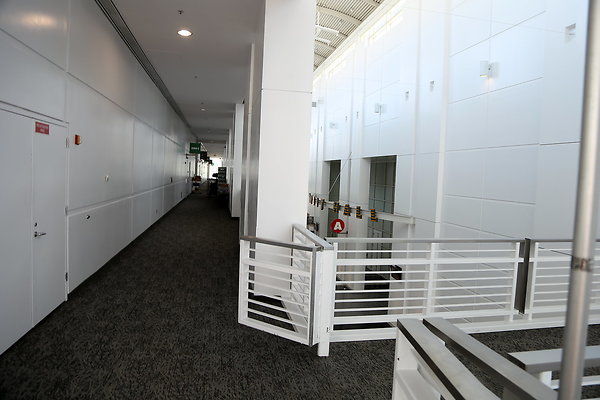 IMG 1235 IMG 1235