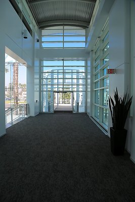 IMG 1230 IMG 1230