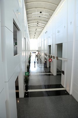 IMG 1236