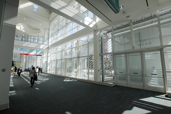 IMG 0017 IMG 0017