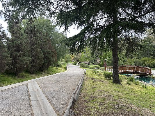 IMG 9293 IMG 9293