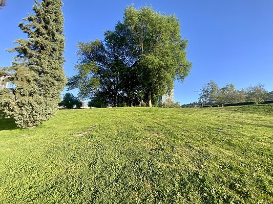 Weddington Park - Pond Option 3
