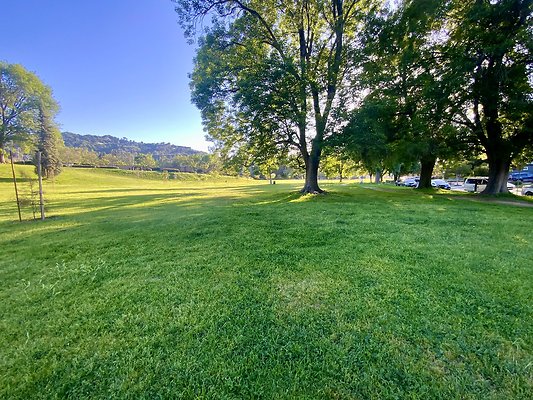 Weddington Park - Pond Option 7