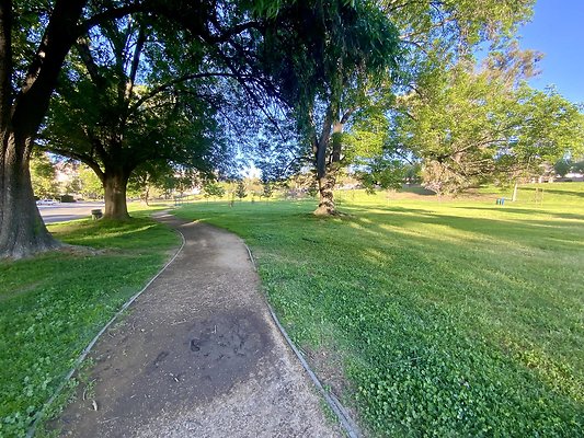 Weddington Park - Pond Option 2