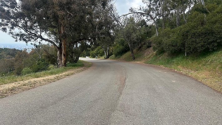 EXT LA Street - Griffith Park