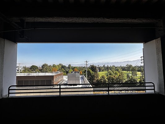 IMG 7050
