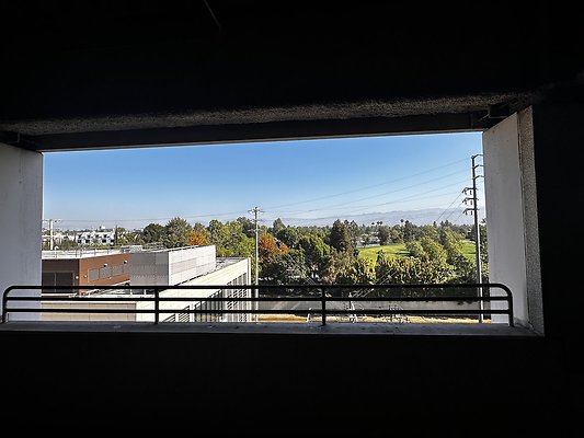 IMG 7051