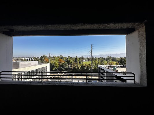 IMG 7054