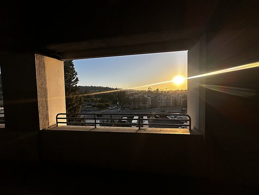 IMG 7137