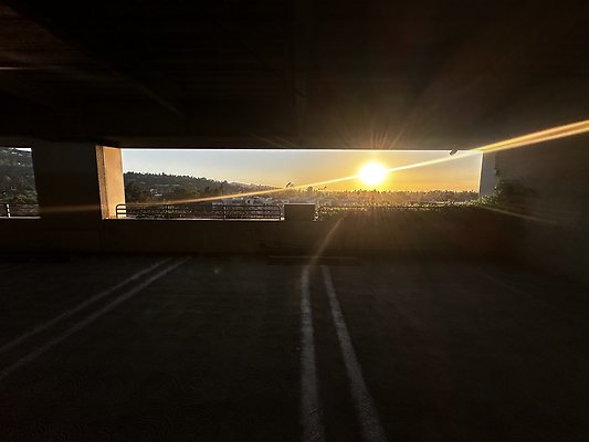 IMG 7151