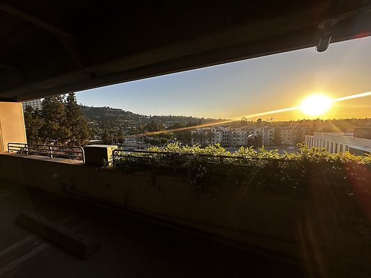 IMG 7148