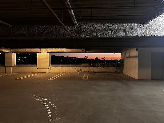 IMG 7235