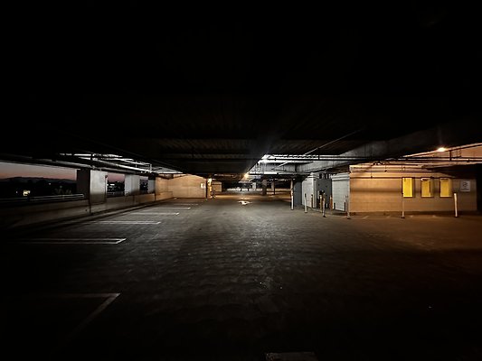 IMG 7225