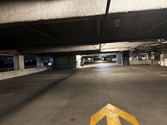 IMG 7234