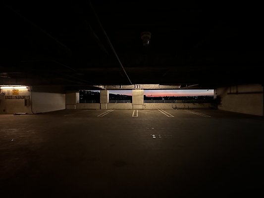IMG 7230