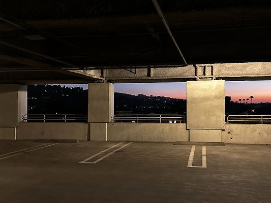 IMG 7231