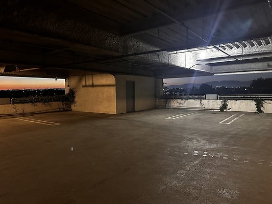 IMG 7233