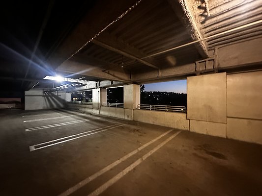 IMG 7228